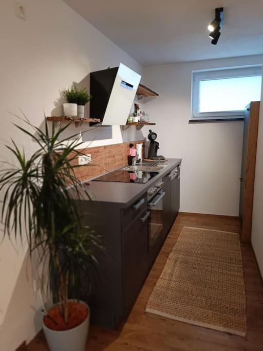 Altholzapartment In Kempten Waltenhofen Exteriör bild